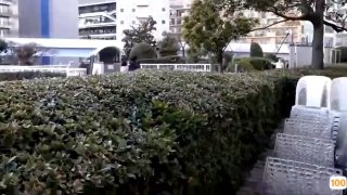 欧美日韩精品乱国产-免费在线观看-日韩中文字幕